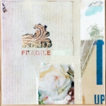 Fragile Landscape [12" x 12"] collage